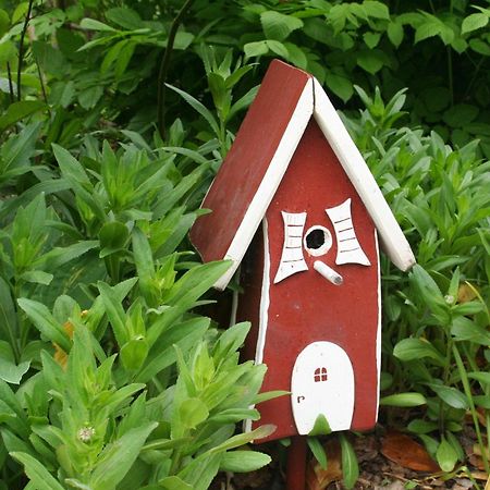 Wohnung-Schwalbennest Süderende エクステリア 写真